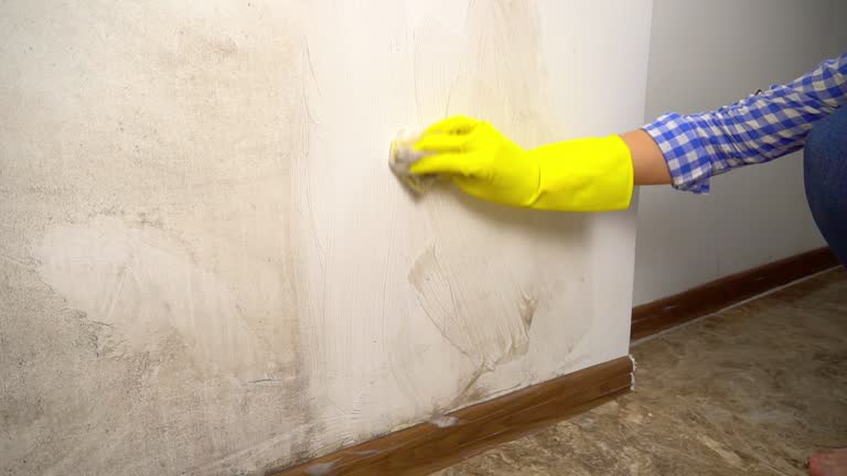 Best Commercial Mold Inspection  in Clendenin, WV